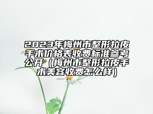 2023年梅州市整形拉皮手術(shù)價格表收費標準參考公開（梅州市整形拉皮手術(shù)美容收費怎么樣）