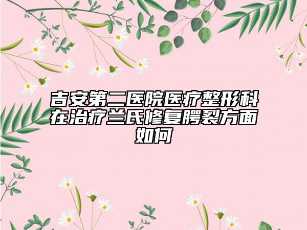 吉安第二醫(yī)院醫(yī)療整形科在治療蘭氏修復(fù)腭裂方面如何