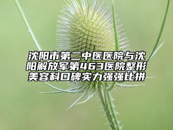 沈陽(yáng)市第二中醫(yī)醫(yī)院與沈陽(yáng)解放軍第463醫(yī)院整形美容科口碑實(shí)力強(qiáng)強(qiáng)比拼