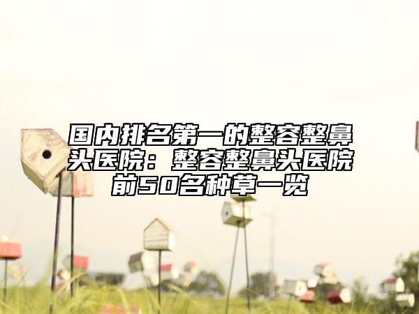 國內(nèi)排名第一的整容整鼻頭醫(yī)院：整容整鼻頭醫(yī)院前50名種草一覽
