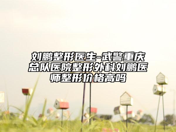 劉鵬整形醫(yī)生-武警重慶總隊醫(yī)院整形外科劉鵬醫(yī)師整形價格高嗎
