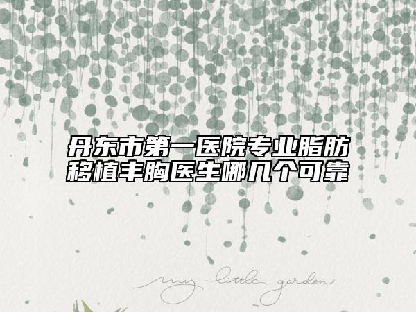 丹東市第一醫(yī)院專業(yè)脂肪移植豐胸醫(yī)生哪幾個可靠