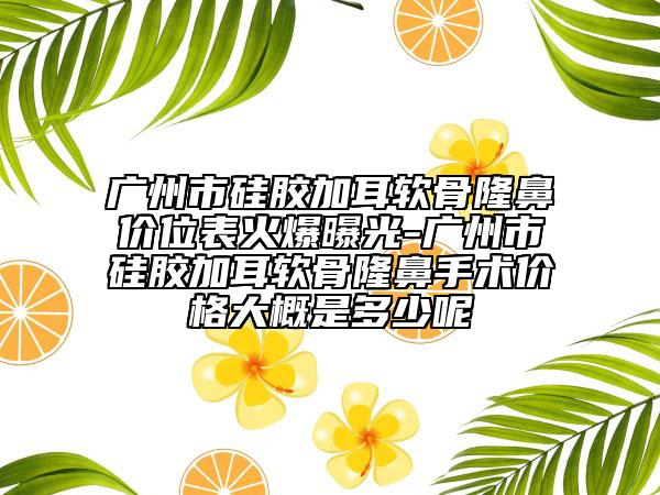 廣州市硅膠加耳軟骨隆鼻價位表火爆曝光-廣州市硅膠加耳軟骨隆鼻手術(shù)價格大概是多少呢