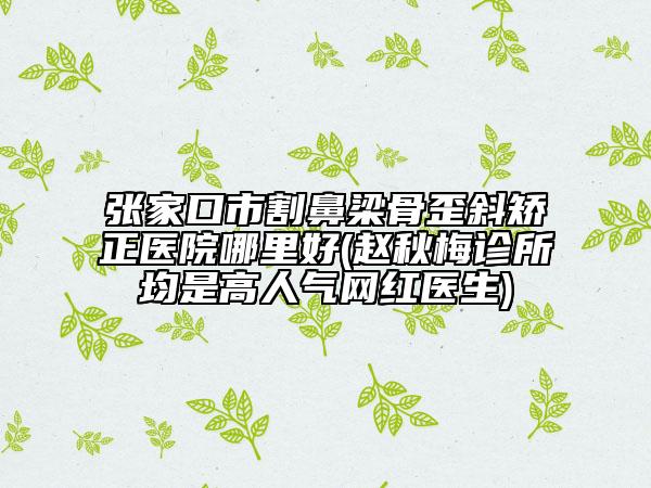 張家口市割鼻梁骨歪斜矯正醫(yī)院哪里好(趙秋梅診所均是高人氣網(wǎng)紅醫(yī)生)
