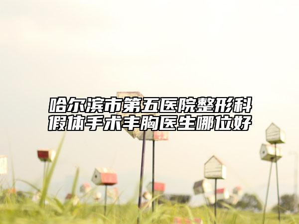 哈爾濱市第五醫(yī)院整形科假體手術(shù)豐胸醫(yī)生哪位好