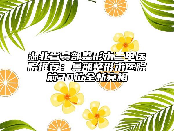 湖北省鼻部整形術(shù)三甲醫(yī)院推薦：鼻部整形術(shù)醫(yī)院前30位全新亮相