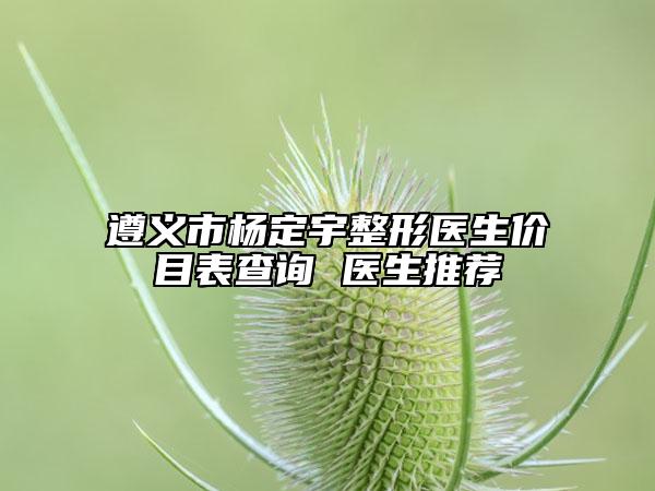 遵義市楊定宇整形醫(yī)生價目表查詢 醫(yī)生推薦