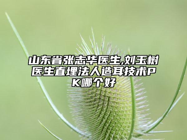 山東省張志華醫(yī)生,劉玉樹醫(yī)生直埋法人造耳技術(shù)PK哪個(gè)好