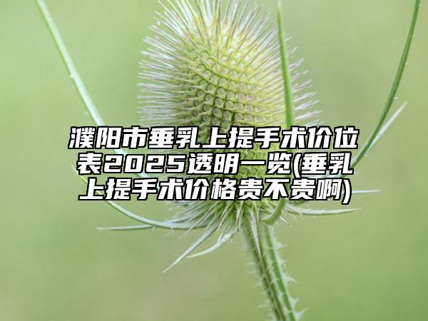 濮陽(yáng)市垂乳上提手術(shù)價(jià)位表2025透明一覽(垂乳上提手術(shù)價(jià)格貴不貴啊)