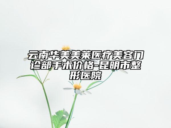 云南華美美萊醫(yī)療美容門(mén)診部手術(shù)價(jià)格-昆明市整形醫(yī)院