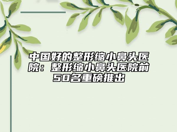 中國好的整形縮小鼻頭醫(yī)院：整形縮小鼻頭醫(yī)院前50名重磅推出