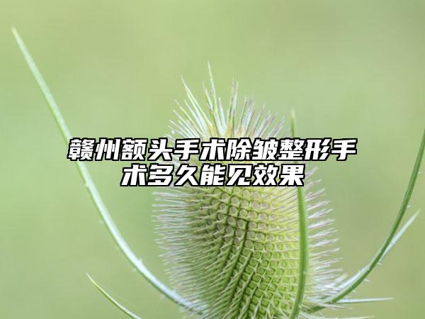贛州額頭手術(shù)除皺整形手術(shù)多久能見效果