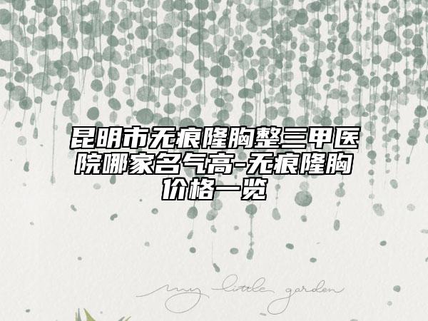昆明市無痕隆胸整三甲醫(yī)院哪家名氣高-無痕隆胸價格一覽