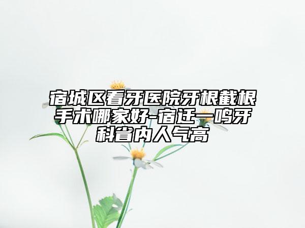 宿城區(qū)看牙醫(yī)院牙根截根手術哪家好-宿遷一鳴牙科省內(nèi)人氣高