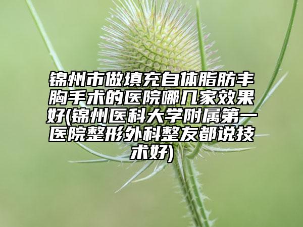 錦州市做填充自體脂肪豐胸手術(shù)的醫(yī)院哪幾家效果好(錦州醫(yī)科大學(xué)附屬第一醫(yī)院整形外科整友都說技術(shù)好)