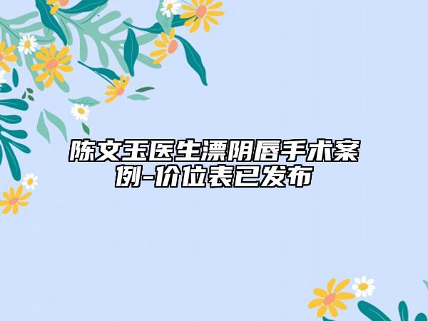 陳文玉醫(yī)生漂陰唇手術(shù)案例-價位表已發(fā)布