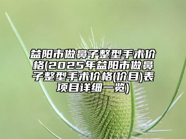 益陽市做鼻子整型手術價格(2025年益陽市做鼻子整型手術價格(價目)表項目詳細一覽)