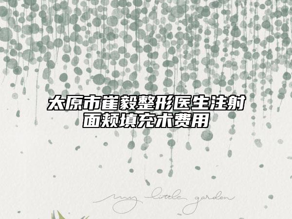 太原市崔毅整形醫(yī)生注射面頰填充術費用