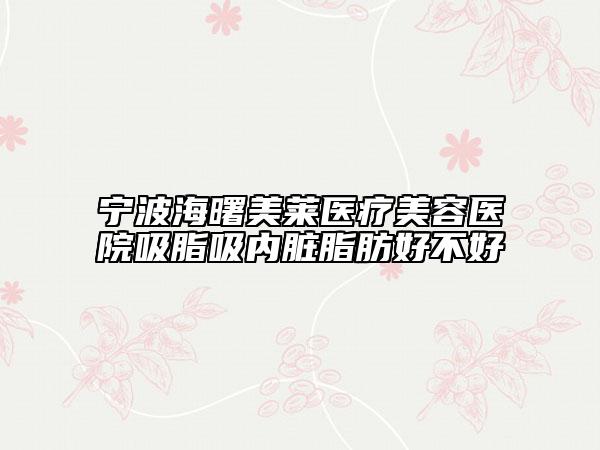 寧波海曙美萊醫(yī)療美容醫(yī)院吸脂吸內(nèi)臟脂肪好不好