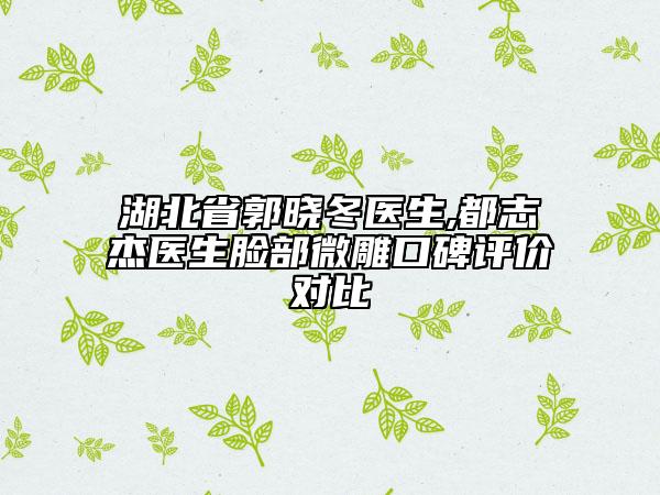 湖北省郭曉冬醫(yī)生,都志杰醫(yī)生臉部微雕口碑評(píng)價(jià)對(duì)比