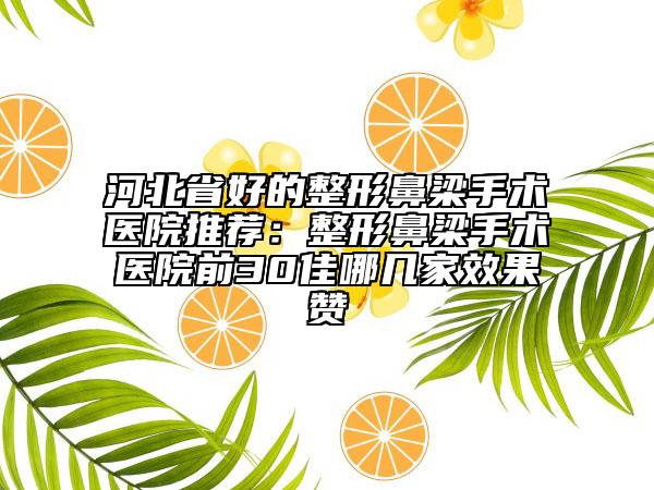 河北省好的整形鼻梁手術(shù)醫(yī)院推薦：整形鼻梁手術(shù)醫(yī)院前30佳哪幾家效果贊