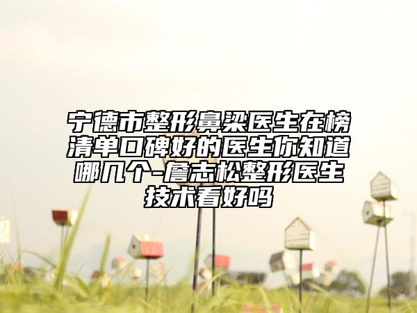 寧德市整形鼻梁醫(yī)生在榜清單口碑好的醫(yī)生你知道哪幾個(gè)-詹志松整形醫(yī)生技術(shù)看好嗎