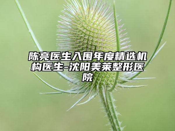 陳亮醫(yī)生入圍年度精選機構醫(yī)生-沈陽美萊整形醫(yī)院
