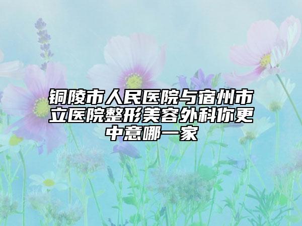 銅陵市人民醫(yī)院與宿州市立醫(yī)院整形美容外科你更中意哪一家