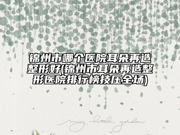 錦州市哪個(gè)醫(yī)院耳朵再造整形好(錦州市耳朵再造整形醫(yī)院排行榜技?jí)喝珗?chǎng))