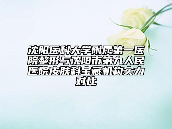 沈陽醫(yī)科大學(xué)附屬第一醫(yī)院整形與沈陽市第九人民醫(yī)院皮膚科寶藏機構(gòu)實力對比