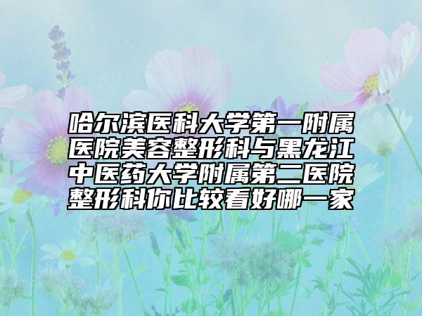 哈爾濱醫(yī)科大學第一附屬醫(yī)院美容整形科與黑龍江中醫(yī)藥大學附屬第二醫(yī)院整形科你比較看好哪一家
