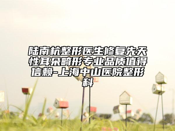 陸南杭整形醫(yī)生修復(fù)先天性耳朵畸形專業(yè)品質(zhì)值得信賴-上海中山醫(yī)院整形科