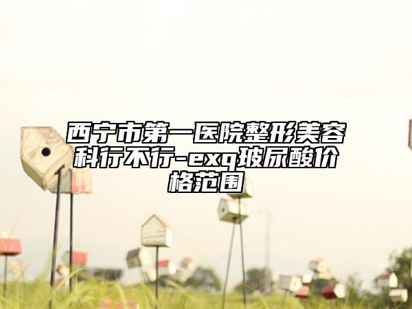 西寧市第一醫(yī)院整形美容科行不行-exq玻尿酸價(jià)格范圍