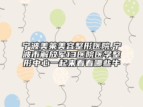 寧波美萊美容整形醫(yī)院,寧波市解放軍13醫(yī)院醫(yī)學(xué)整形中心一起來(lái)看看哪些牛