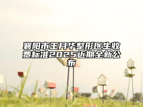 襄陽市王月華整形醫(yī)生收費(fèi)標(biāo)準(zhǔn)2025近期全新公布