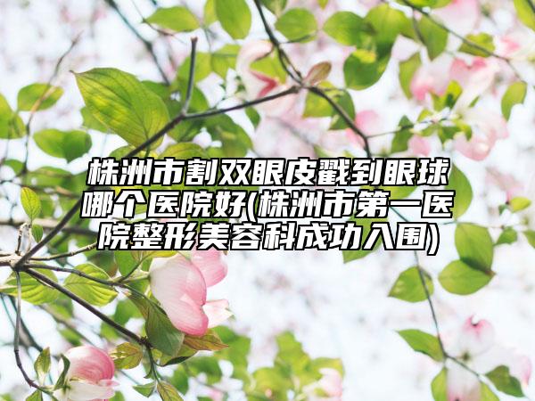 株洲市割雙眼皮戳到眼球哪個(gè)醫(yī)院好(株洲市第一醫(yī)院整形美容科成功入圍)