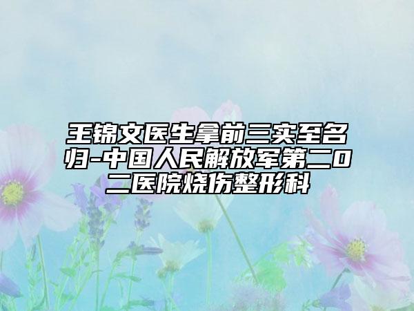 王錦文醫(yī)生拿前三實至名歸-中國人民解放軍第二0二醫(yī)院燒傷整形科
