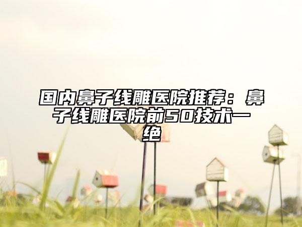 國內(nèi)鼻子線雕醫(yī)院推薦：鼻子線雕醫(yī)院前50技術(shù)一絕