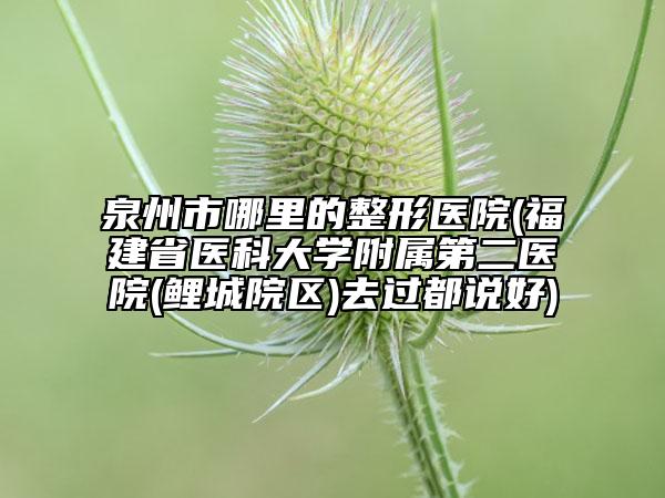泉州市哪里的整形醫(yī)院(福建省醫(yī)科大學(xué)附屬第二醫(yī)院(鯉城院區(qū))去過都說好)