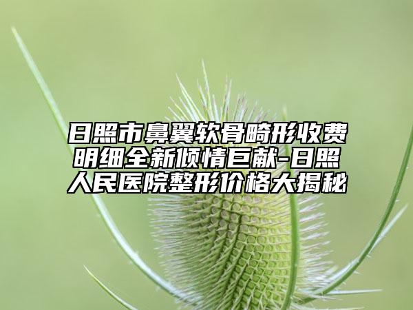 日照市鼻翼軟骨畸形收費明細全新傾情巨獻-日照人民醫(yī)院整形價格大揭秘
