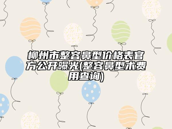 柳州市整容鼻型價(jià)格表官方公開曝光(整容鼻型術(shù)費(fèi)用查詢)