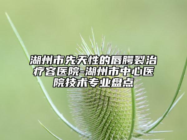 湖州市先天性的唇腭裂治療容醫(yī)院-湖州市中心醫(yī)院技術(shù)專業(yè)盤點(diǎn)