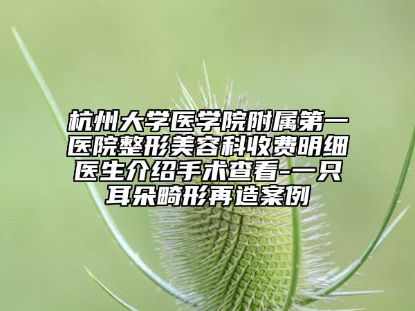 杭州大學(xué)醫(yī)學(xué)院附屬第一醫(yī)院整形美容科收費(fèi)明細(xì)醫(yī)生介紹手術(shù)查看-一只耳朵畸形再造案例