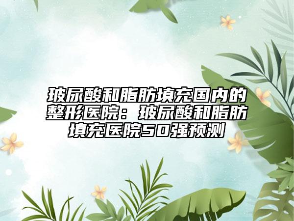 玻尿酸和脂肪填充國內的整形醫(yī)院：玻尿酸和脂肪填充醫(yī)院50強預測
