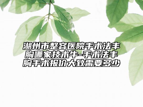 湖州市整容醫(yī)院手術法豐胸哪家技術牛-手術法豐胸手術報價大致需要多少