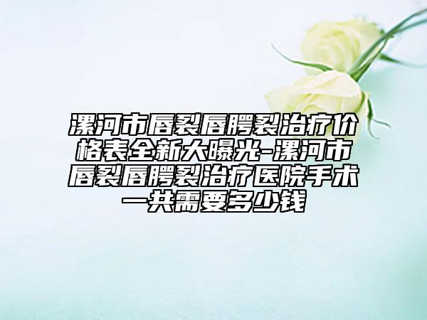 漯河市唇裂唇腭裂治療價(jià)格表全新大曝光-漯河市唇裂唇腭裂治療醫(yī)院手術(shù)一共需要多少錢