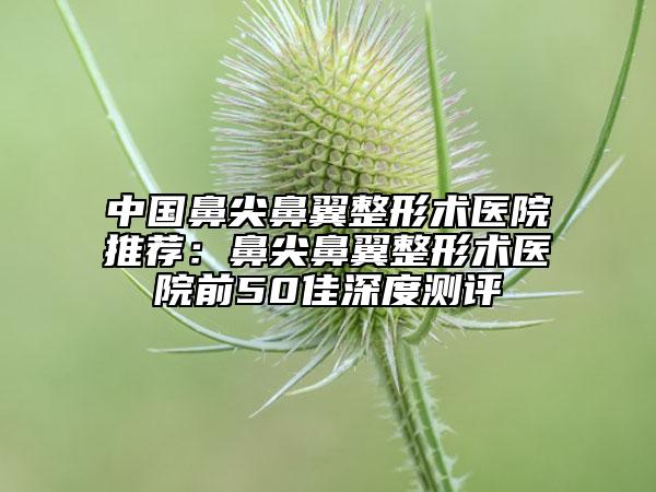 中國鼻尖鼻翼整形術(shù)醫(yī)院推薦：鼻尖鼻翼整形術(shù)醫(yī)院前50佳深度測評