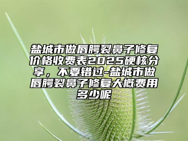 鹽城市做唇腭裂鼻子修復(fù)價格收費表2025硬核分享，不要錯過-鹽城市做唇腭裂鼻子修復(fù)大概費用多少呢