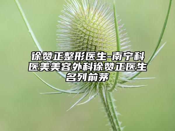 徐贊正整形醫(yī)生-南寧科醫(yī)美美容外科徐贊正醫(yī)生名列前茅