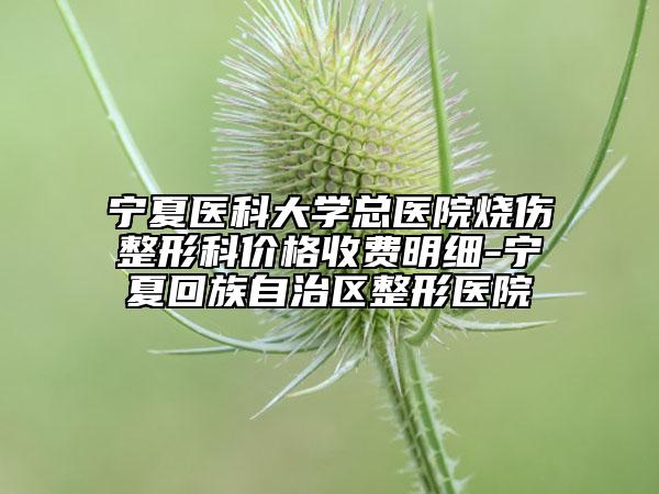 寧夏醫(yī)科大學(xué)總醫(yī)院燒傷整形科價(jià)格收費(fèi)明細(xì)-寧夏回族自治區(qū)整形醫(yī)院